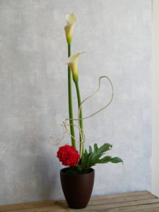 フォーマルリニアール